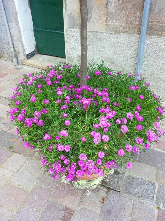 Bed and Breakfast Nonno Toni Campo Ligure Exterior foto