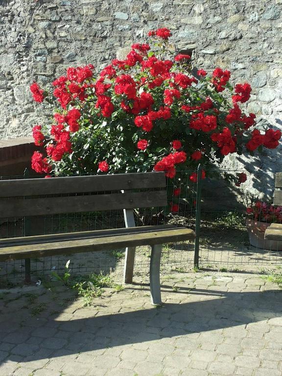 Bed and Breakfast Nonno Toni Campo Ligure Exterior foto